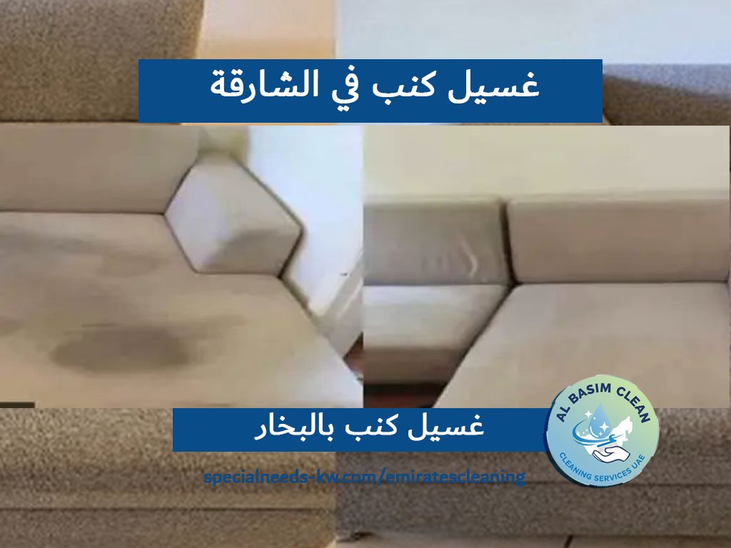 غسيل كنب في الشارقة