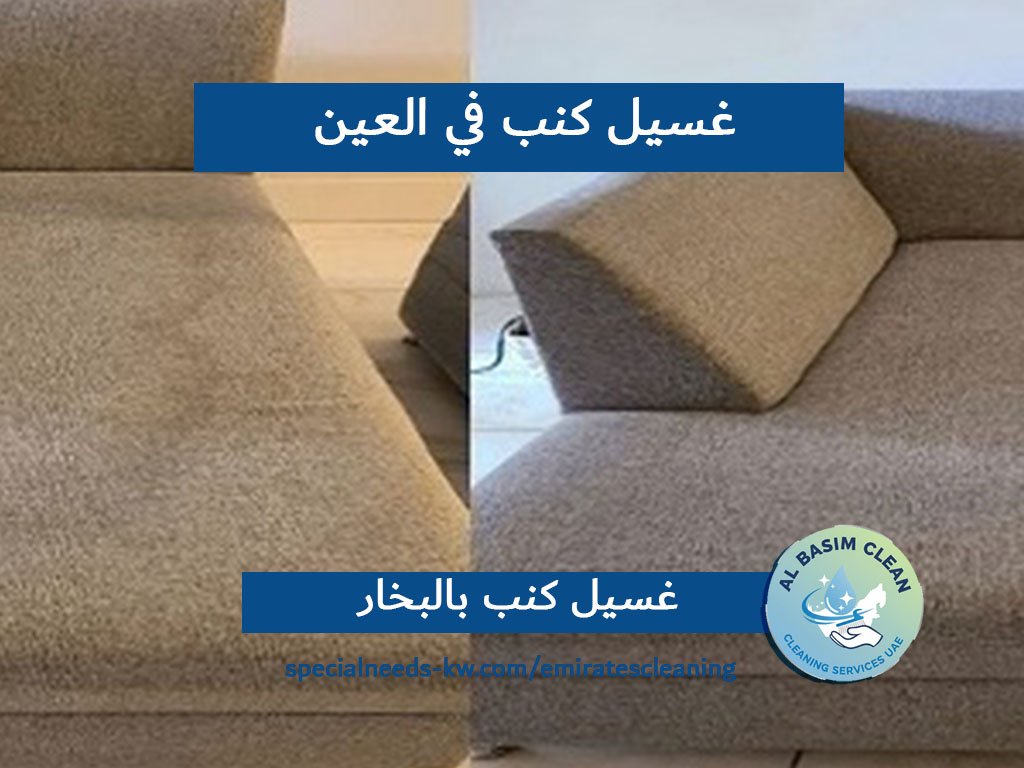 غسيل كنب في العين